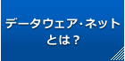データウェア・ネットとは？